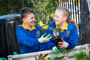 Students at St Catherine Labouré Catholic Primary School Gymea gardening